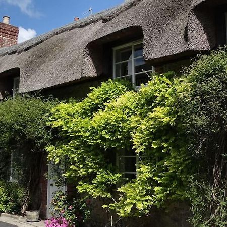 Little Thatch Cottage - Cerne Abbas, Dorset Buitenkant foto