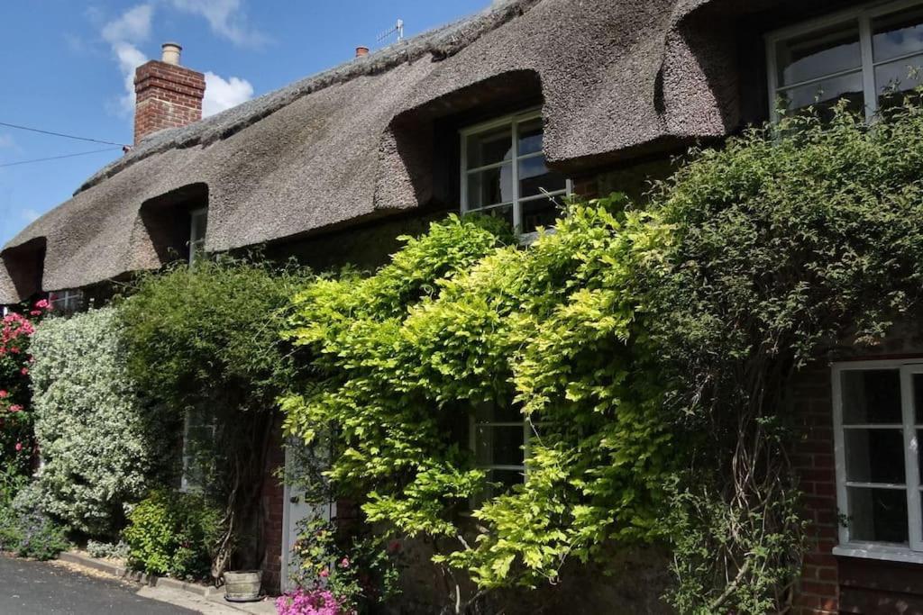Little Thatch Cottage - Cerne Abbas, Dorset Buitenkant foto